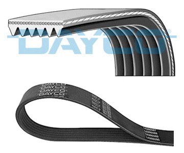 Ribbed belt fits - belt,